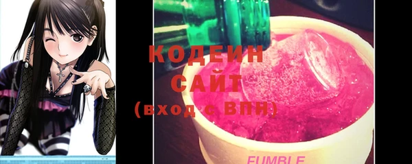 ECSTASY Богородицк