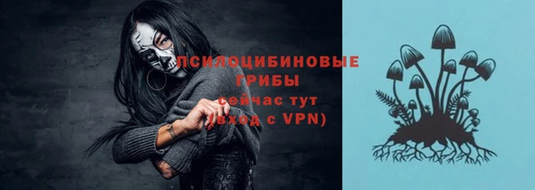кокаин перу Богданович