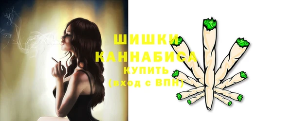 ECSTASY Богородицк