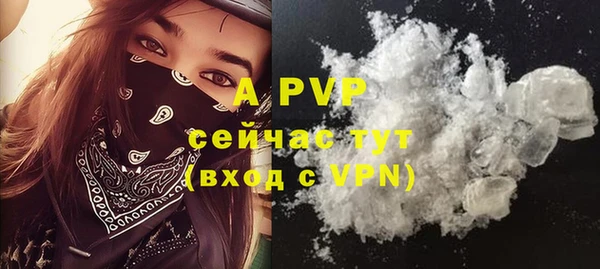 ECSTASY Богородицк