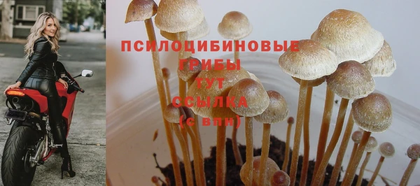 кокаин перу Богданович