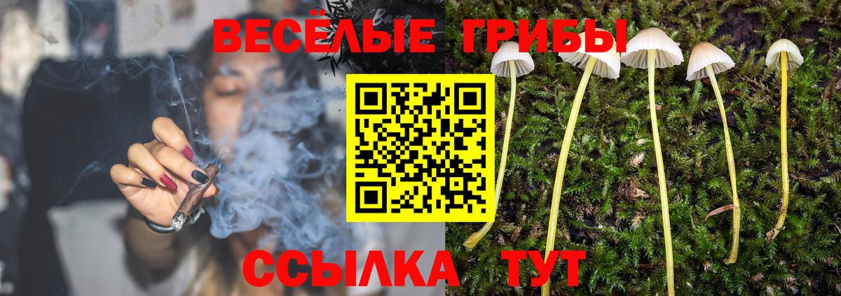 Псилоцибиновые грибы Magic Shrooms  Вход с VPN  Малоярославец 